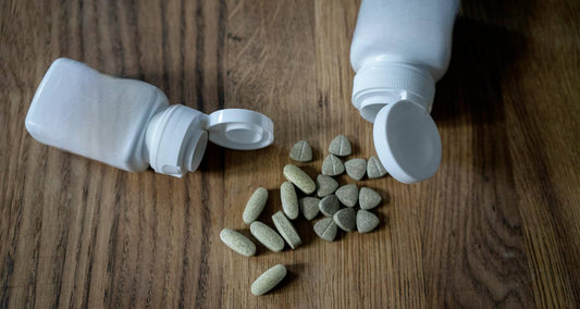 Why We Choose ZenVits: A Trusted Path to Elevated Wellness